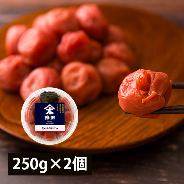 鴨田太平商店/谷沢梅ぼし250g×2個