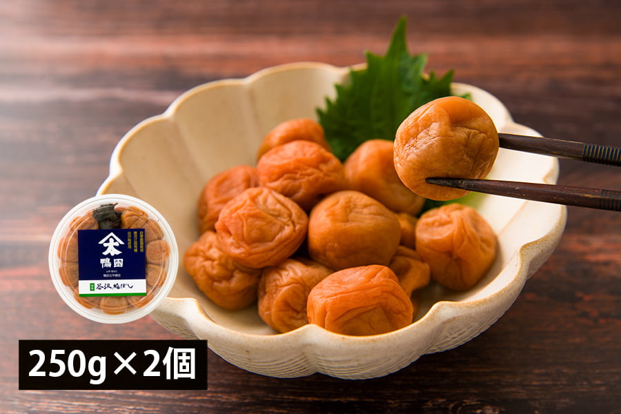 鴨田太平商店／《減塩》谷沢梅ぼし250g×2個