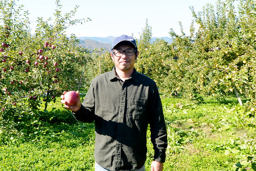 《旬果》朝日町の蜜入りりんご