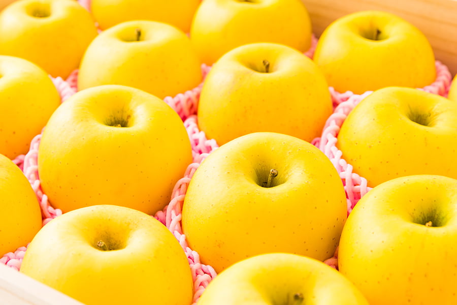 《旬果》朝日町の蜜入りりんご はるか