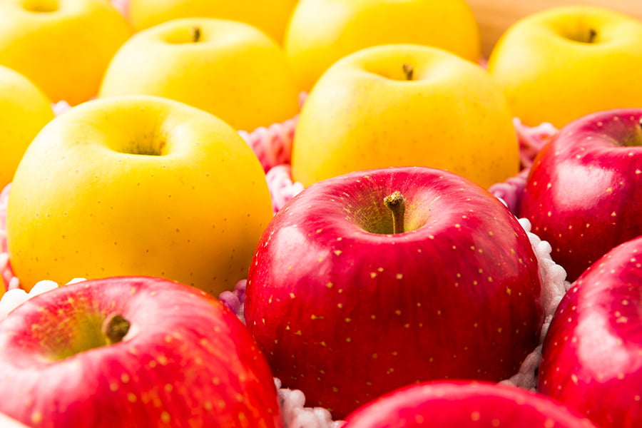 朝日町の蜜入りりんごのセット(ふじりんごとはるか)