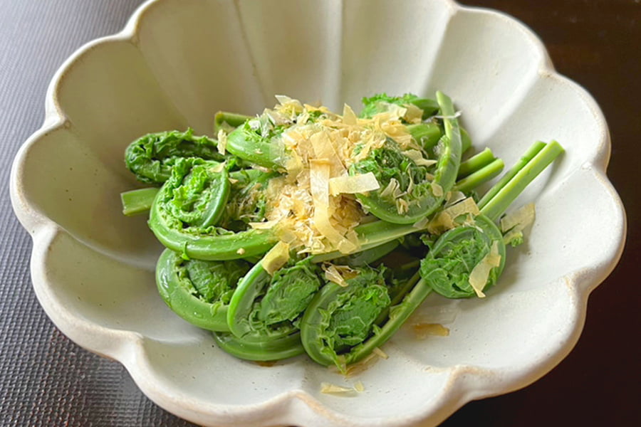 朝穫り山菜 こごみ