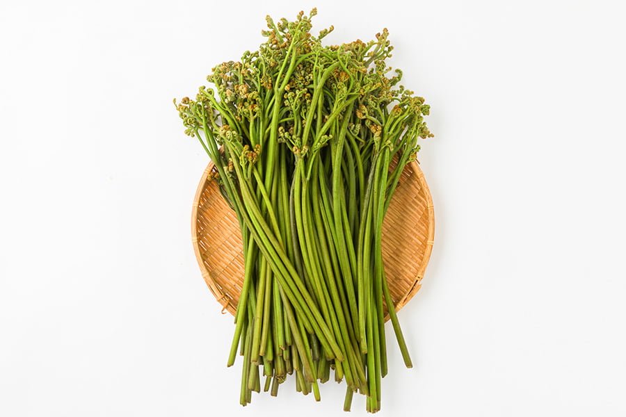 どーんと8kg 本日採れたばかりのワラビ 本日22時までの販売