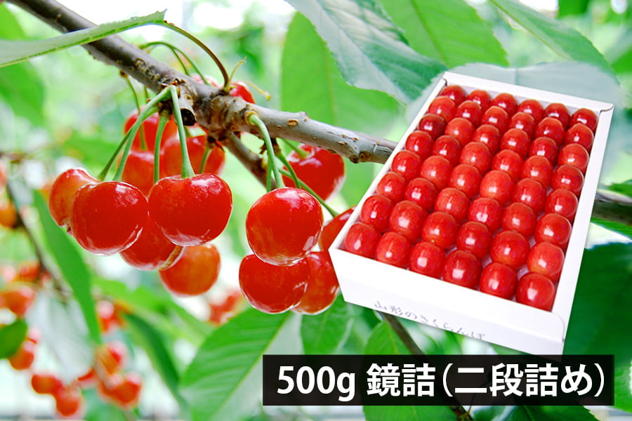 さくらんぼ 5656ゼリー「さくらんぼ」 / おいしい山形プラザWEB