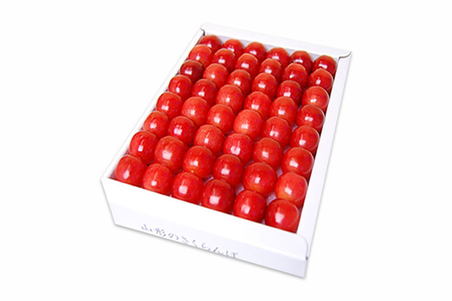 山形県産さくらんぼ佐藤錦