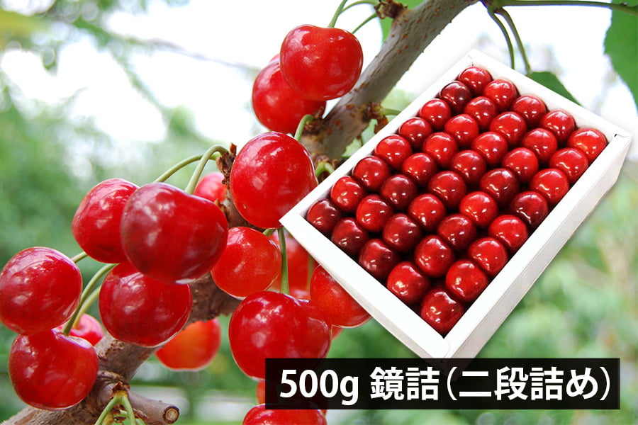 山形県産さくらんぼ紅秀峰500g鏡詰特秀2Lサイズ