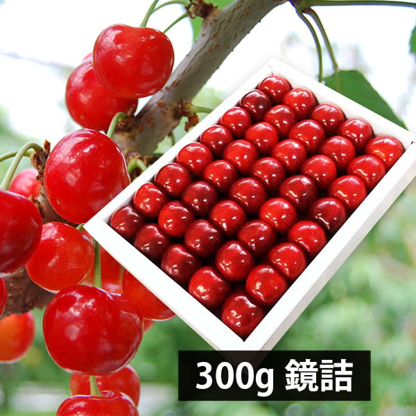 山形県産さくらんぼ紅秀峰300g鏡詰特秀2Lサイズ