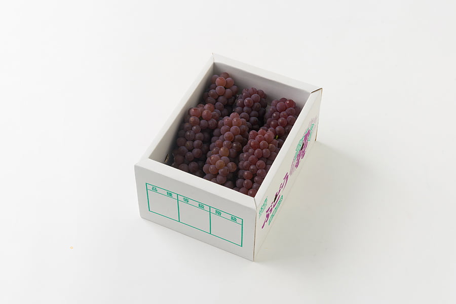 山道農園のぶどう甘美デラウェア