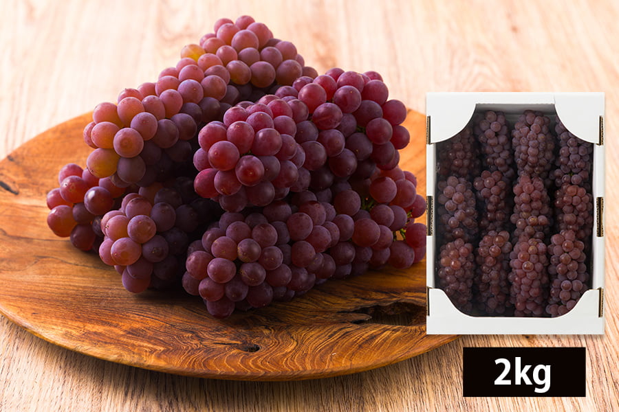 山道農園のぶどう甘美デラウェア2kg(12〜16房前後)