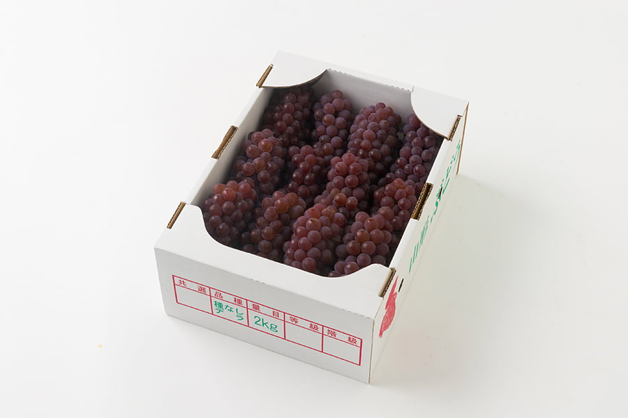 山道農園のぶどう甘美デラウェア