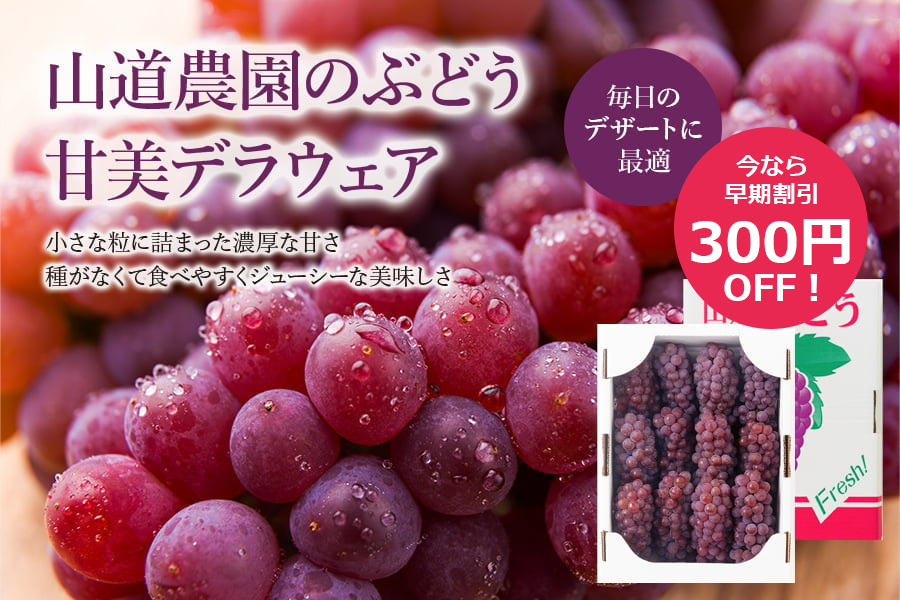 山道農園のぶどう甘美デラウェア1kg(6〜7房前後)