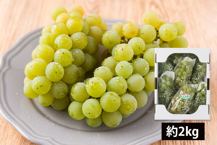 山道農園のぶどう甘美ナイアガラ