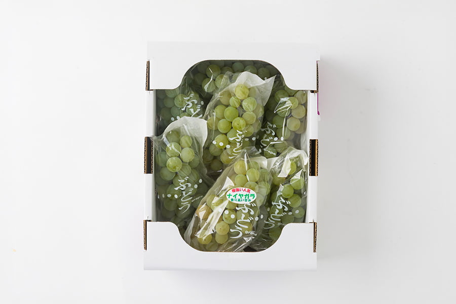 山道農園のぶどう甘美ナイアガラ