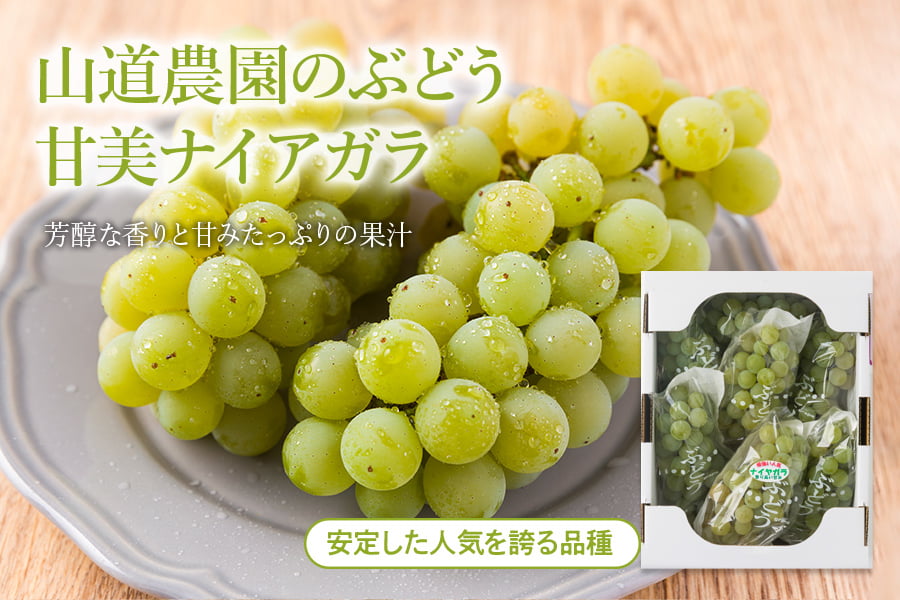 山道農園のぶどう甘美ナイアガラ
