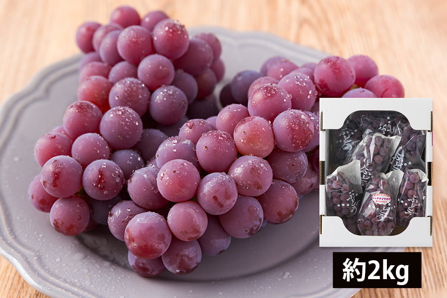 山道農園のぶどう甘美レッドナイアガラ約2kg(7房前後)