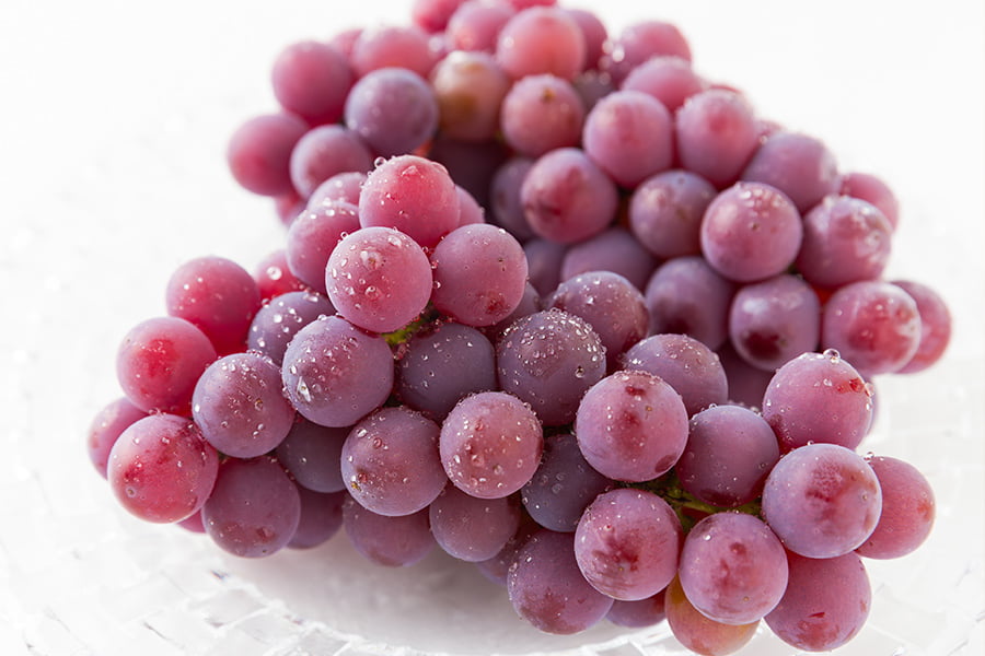 GRAPEVINE 新しい果実　レコード(クリアレッドヴァイナル) 美品 山道農園のぶどう甘美レッドナイアガラ約2kg(7房前後)