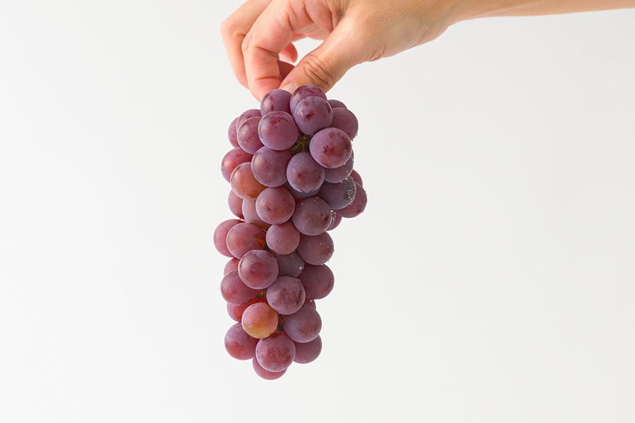 山道農園のぶどう甘美レッドナイアガラ約2kg(7房前後)