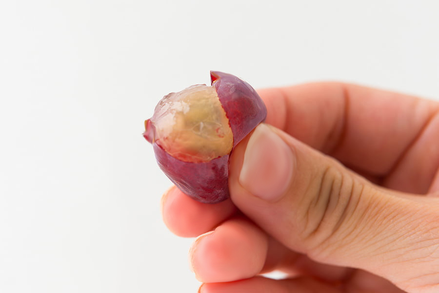 山道農園のぶどう甘美レッドナイアガラ