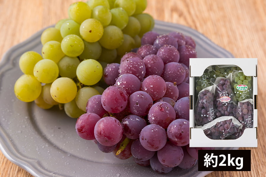 山道農園のぶどう甘美レッドナイアガラ約2kg(7房前後)