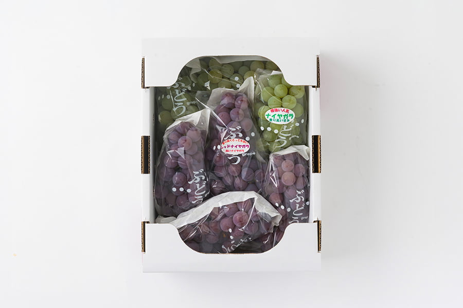 山道農園のぶどう甘美ナイアガラ