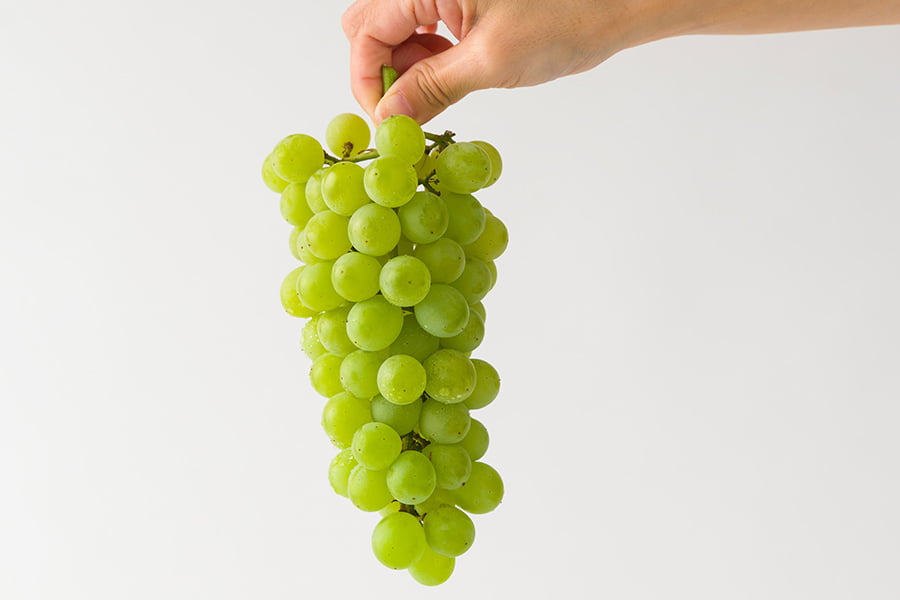 山道農園のぶどうハニーシードレス