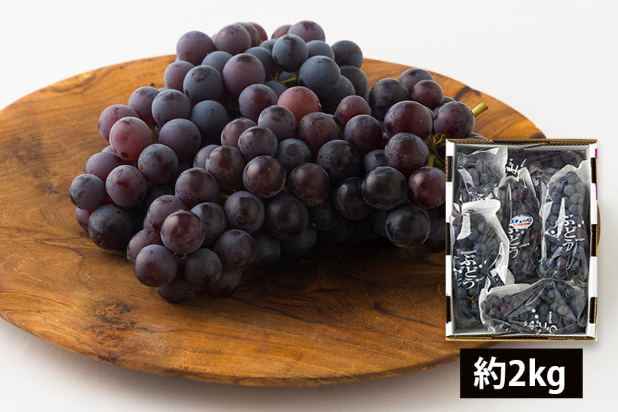 山道農園のぶどう甘美スチューベン