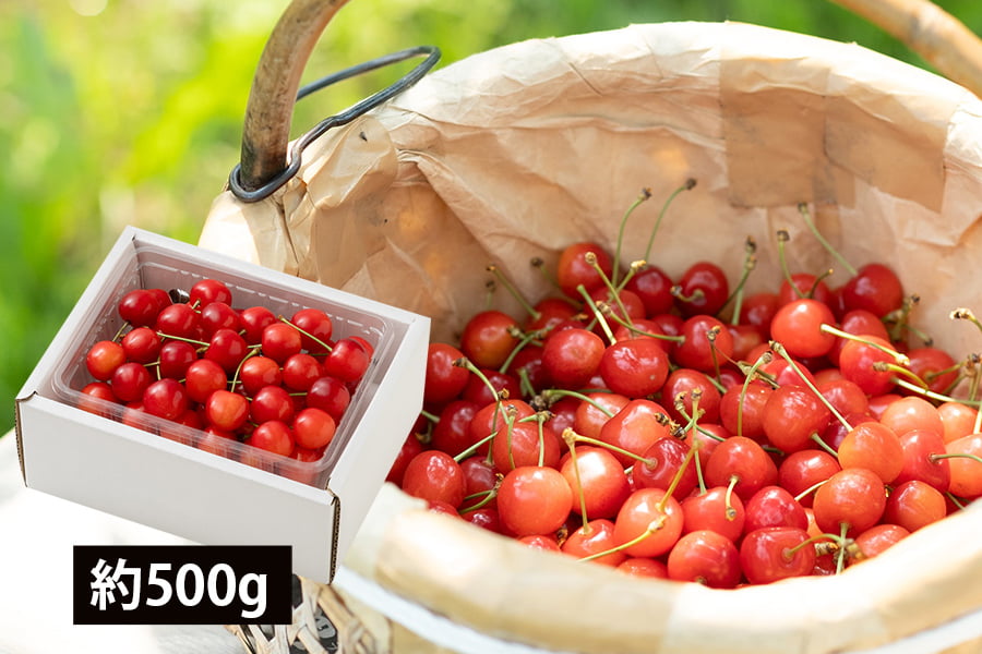 【旅する特産品】北海道産さくらんぼ紅秀峰