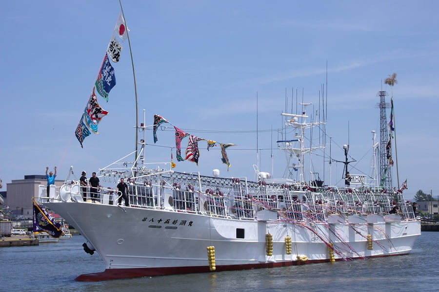 酒田船凍イカ
