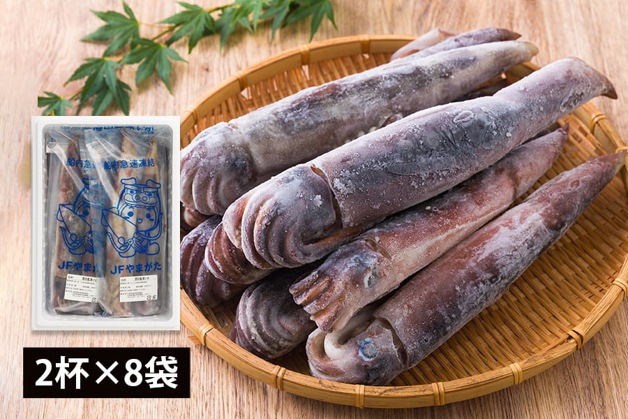 酒田船凍イカ