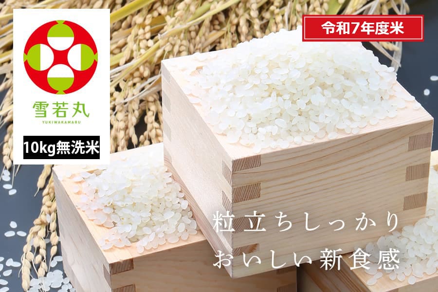 雪若丸10キロ（5キロ✖️2）