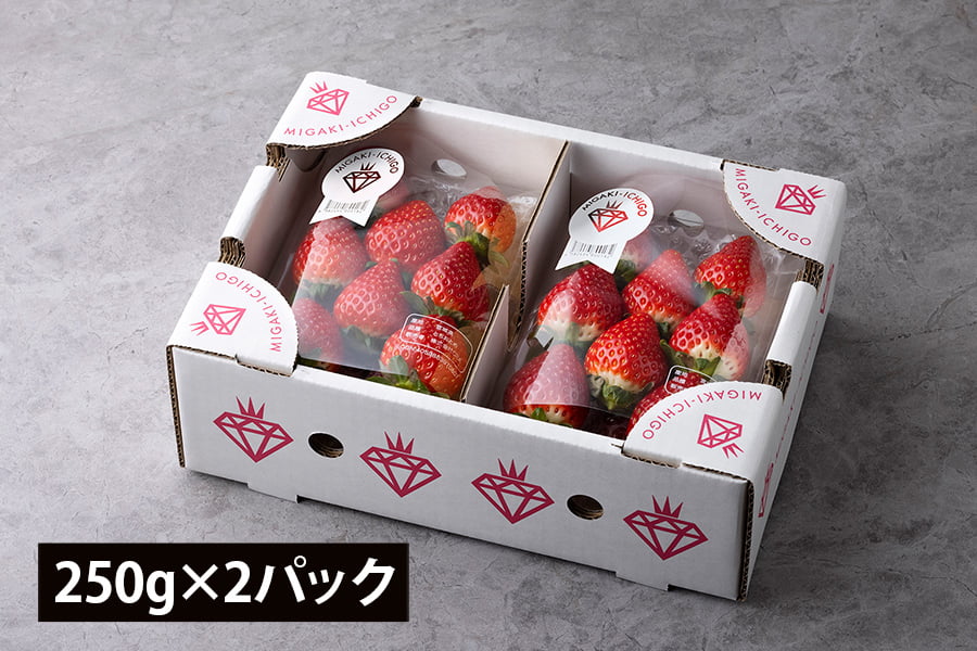 【旅する特産品】MIGAKI-ICHIGO／宮城県産いちご ミガキイチゴ レギュラー