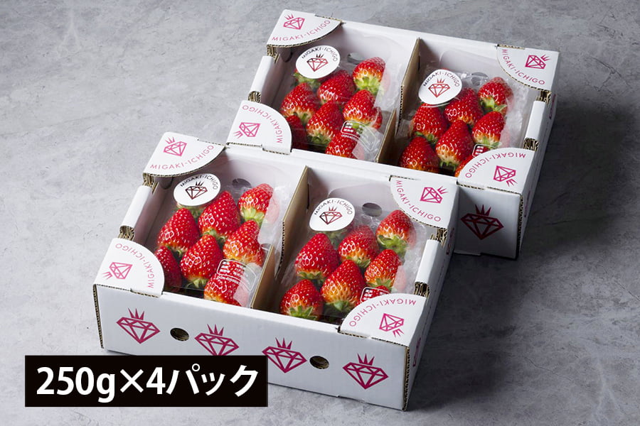 【旅する特産品】MIGAKI-ICHIGO／宮城県産いちご ミガキイチゴ レギュラー