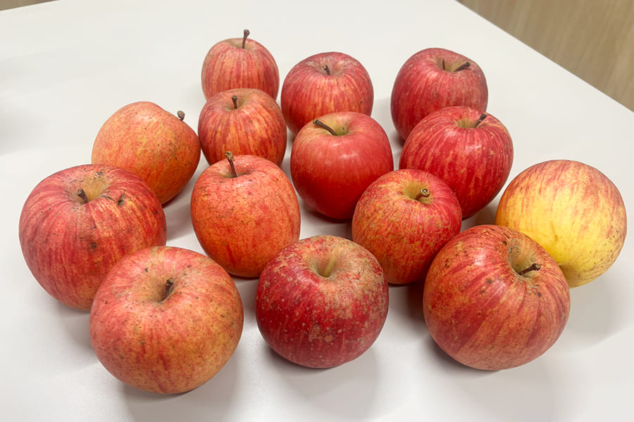 【農家応援】鈴木さんちの《訳あり》ふじりんご約3kg（10〜15個）