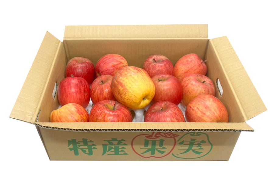 【農家応援】鈴木さんちの《訳あり》ふじりんご約3kg（10〜15個）