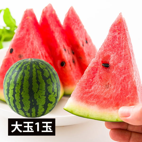 【数量限定】東海林農園／尾花沢すいか大玉1玉