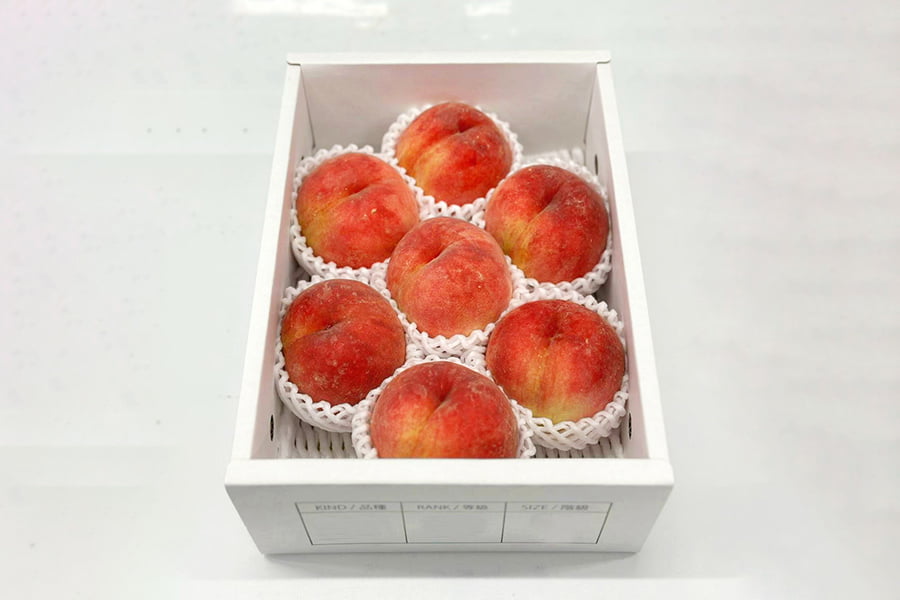 【数量限定】山形の白桃硬おもい2kg(4玉〜7玉入り)【硬い桃】