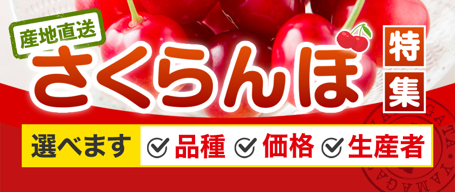 産地直送 さくらんぼ特集