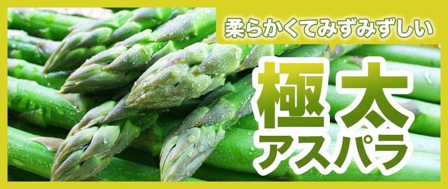 極太アスパラ