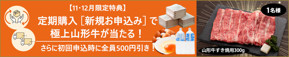 定期購入キャンペーン