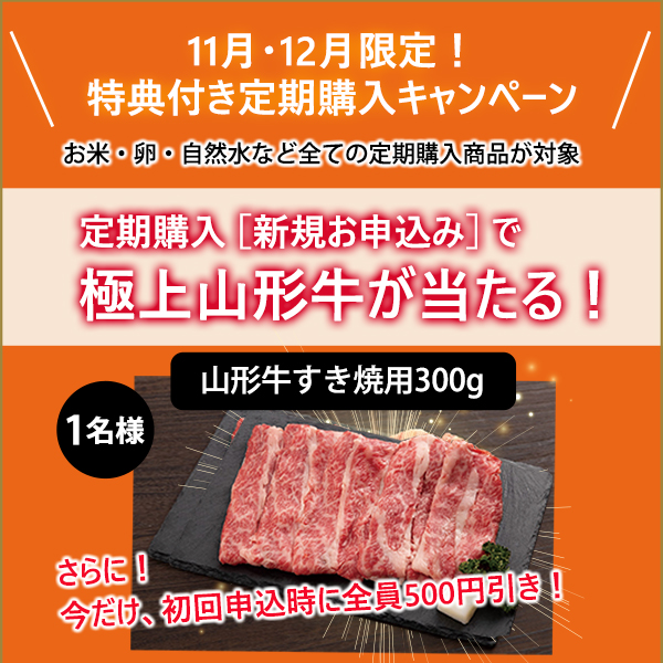 定期購入キャンペーン