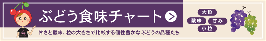 甘さと酸味、粒の大きさで比較する個性豊かなぶどうの品種たち