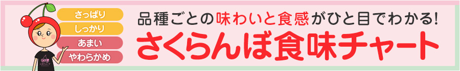 品種ごとの味わいと食感がひと目でわかる！さくらんぼ食味チャート