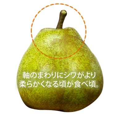 《旬果》プレミアム洋梨ラフランスと蜜入りふじりんご