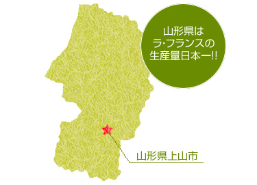 特選洋梨ラフランス約5kg(2L-18玉)