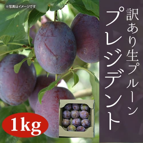 訳あり生プルーン