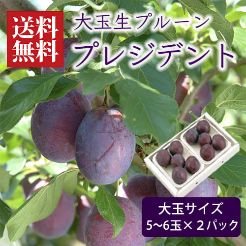 生プルーン