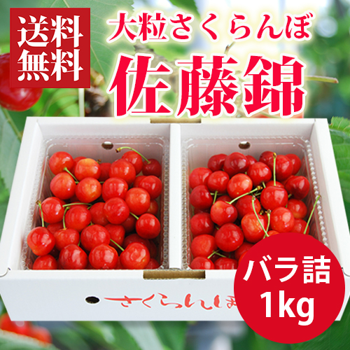 大粒さくらんぼ