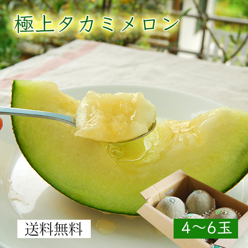 タカミメロン