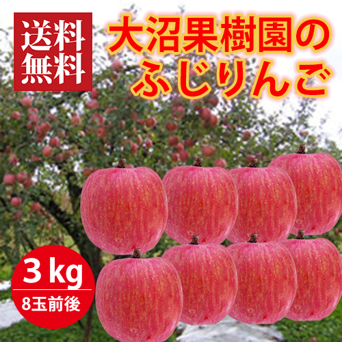 大沼果樹園ふじりんご