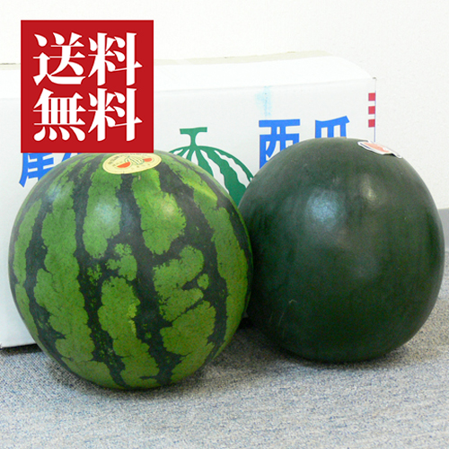 尾花沢スイカ縞無双と黒太陽セット